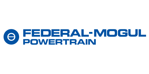 FEDERAL MOGUL